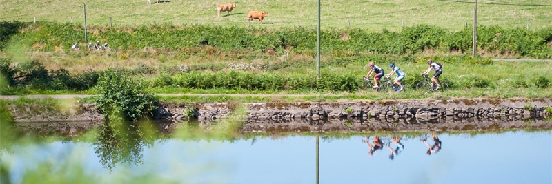 Plateau des Mille étangs